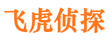 鹿城市侦探公司